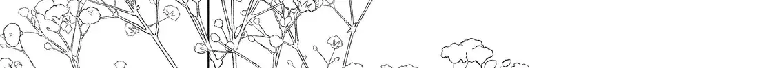 Hana to Kuchizuke - Chapter 40 - Page 6