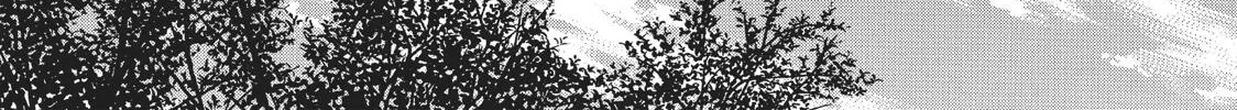 That Blue Summer - Chapter 6 - Page 81