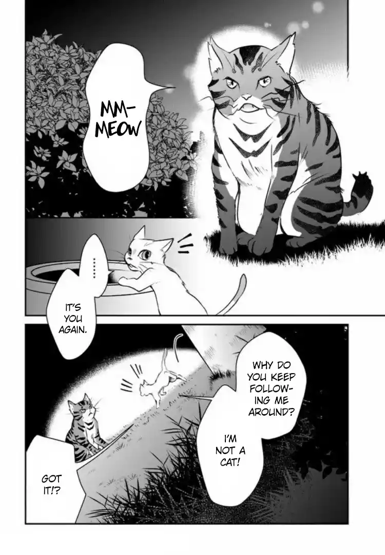 A Whisker Away - Chapter 2 - Page 38