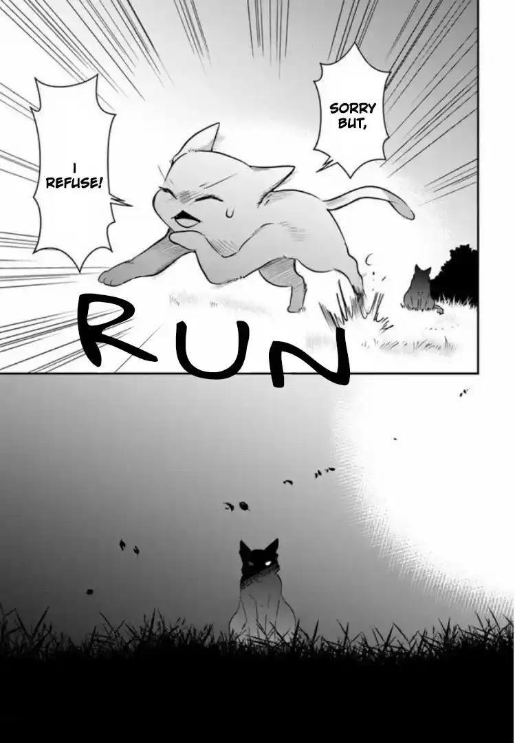 A Whisker Away - Chapter 2 - Page 41