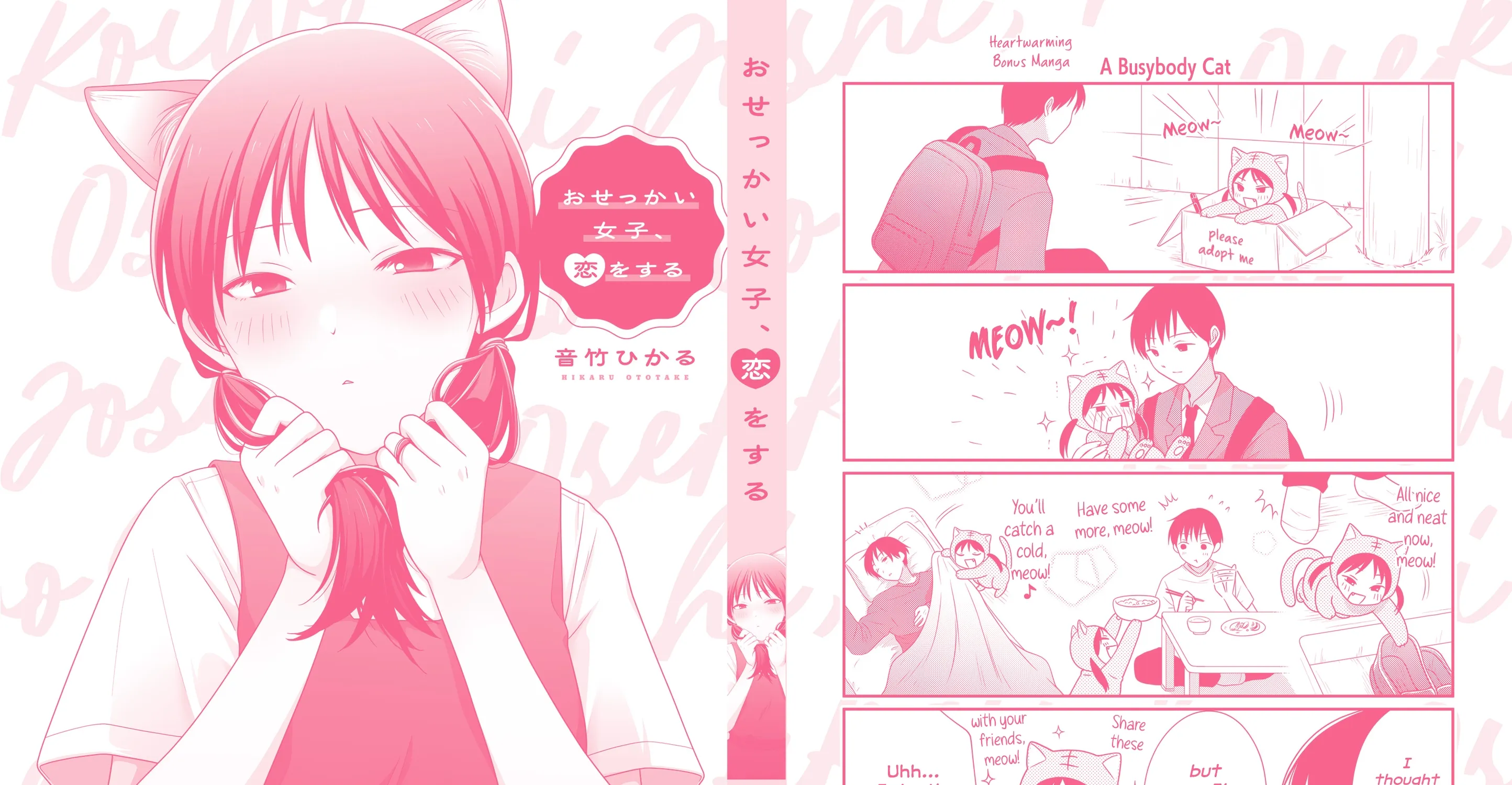 Osekkai Joshi, Koi o Suru - Chapter 29.5 - Page 21