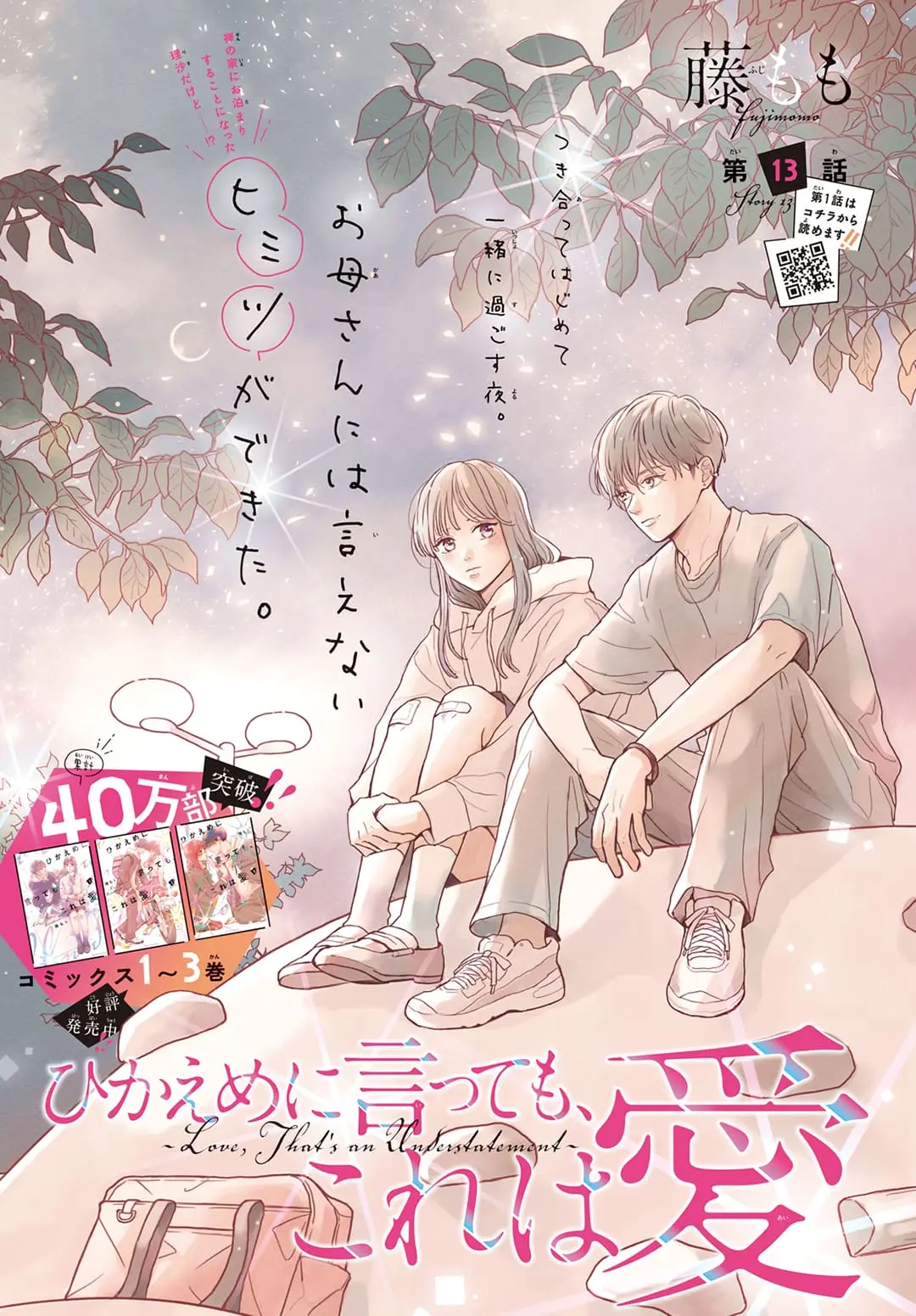 Hikaeme ni Itte mo, Kore wa Ai - Chapter 13 - Page 1