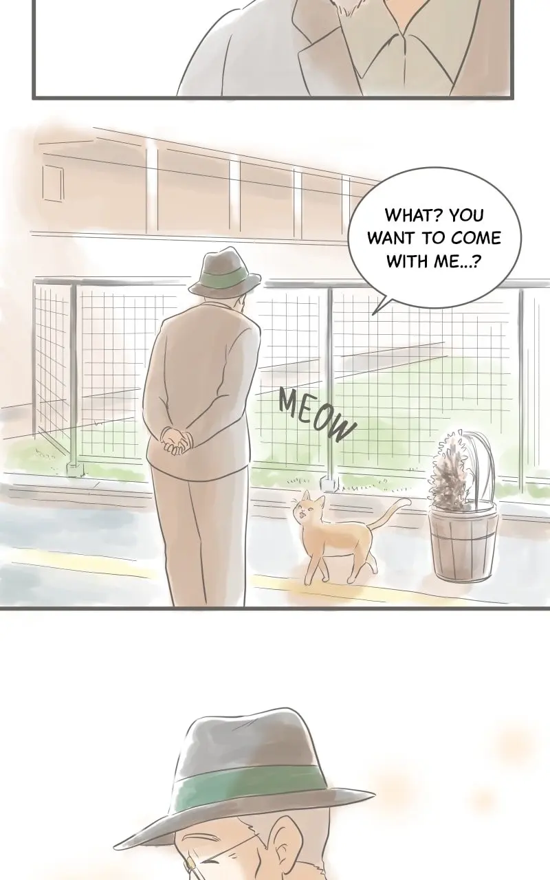 Amid the Changing Seasons - Chapter 4 - Page 35
