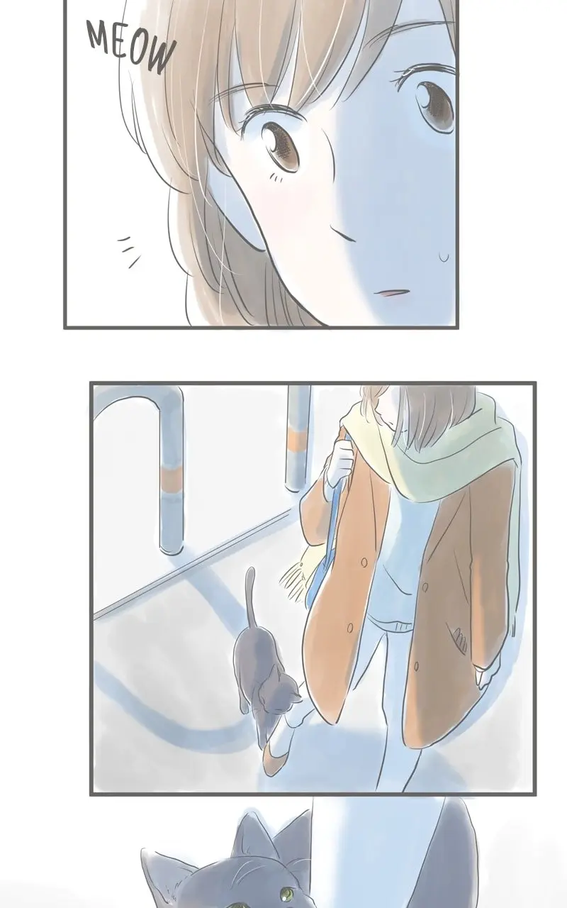 Amid the Changing Seasons - Chapter 11 - Page 20