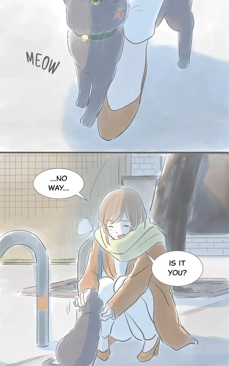Amid the Changing Seasons - Chapter 11 - Page 21