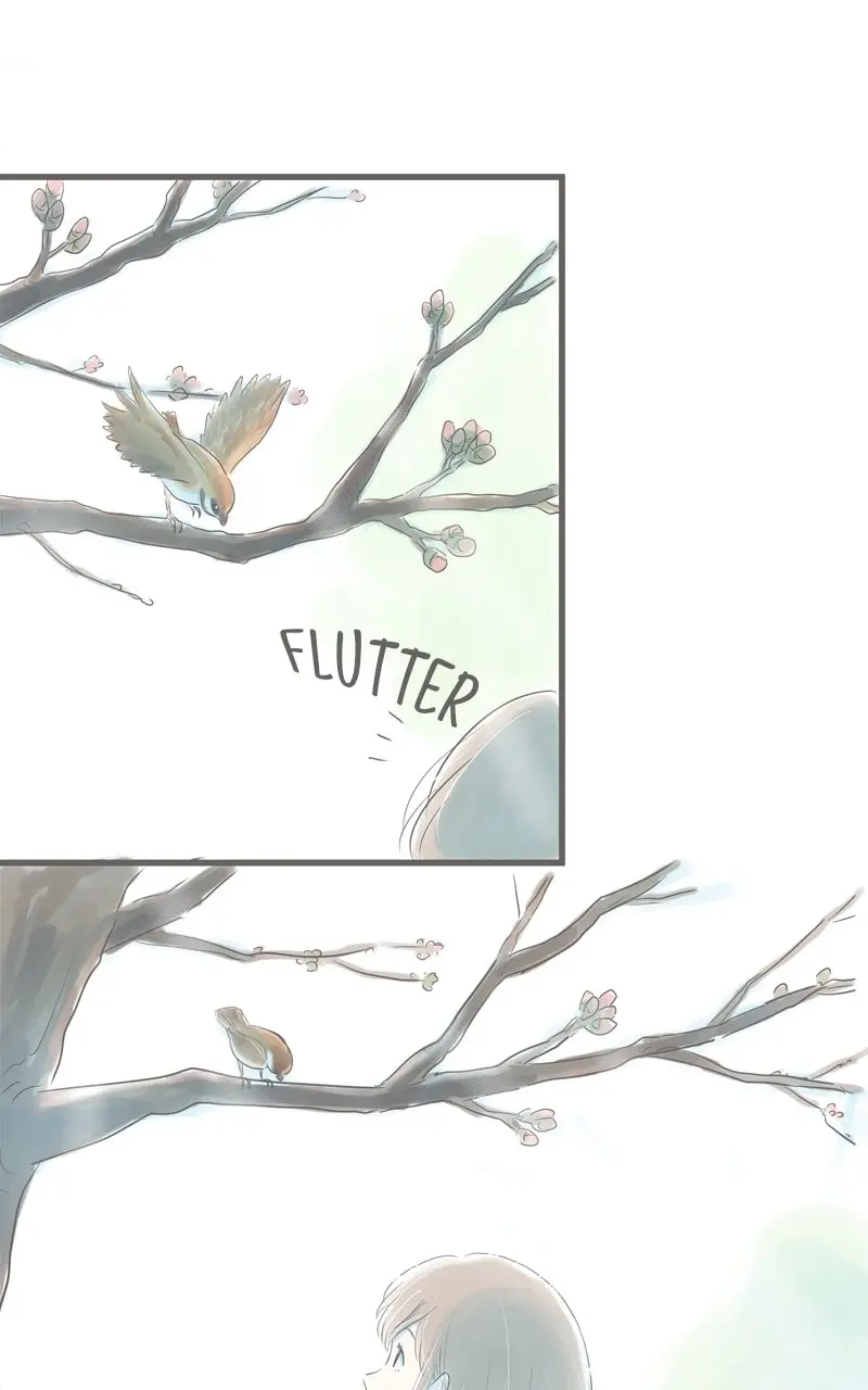 Amid the Changing Seasons - Chapter 24 - Page 43