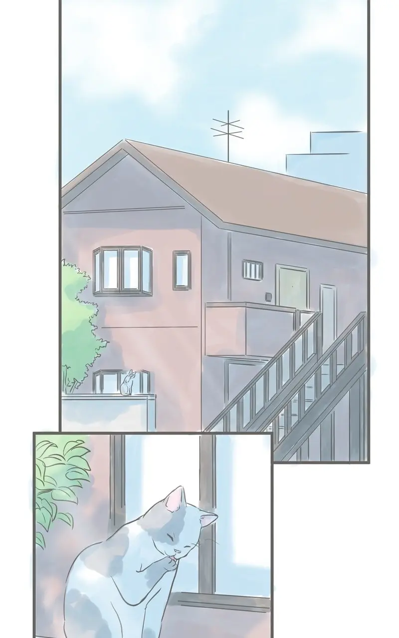 Amid the Changing Seasons - Chapter 37 - Page 1