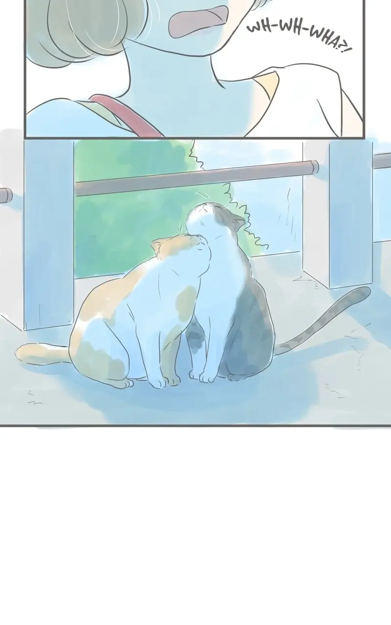 Amid the Changing Seasons - Chapter 42 - Page 33