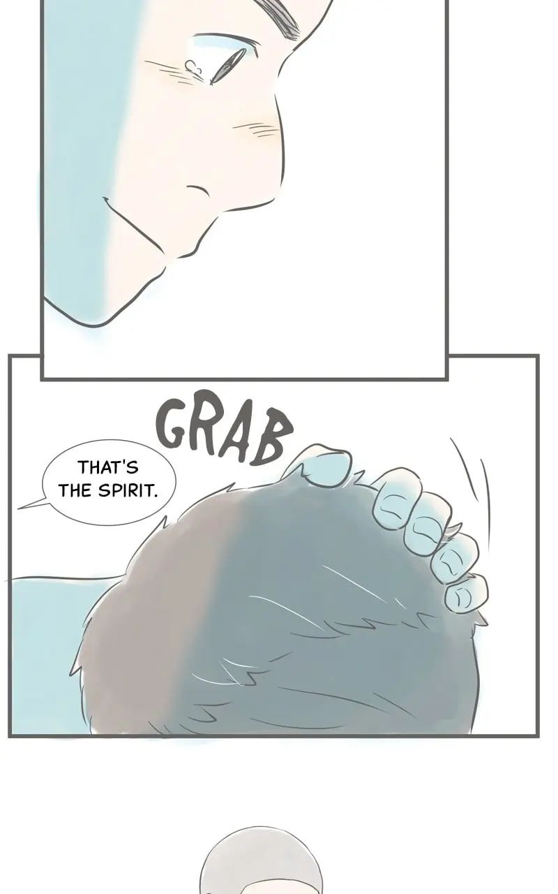 Amid the Changing Seasons - Chapter 43 - Page 44