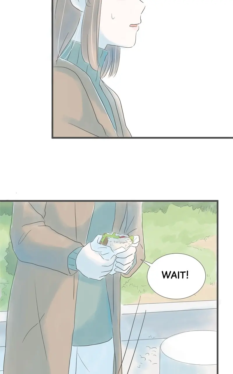 Amid the Changing Seasons - Chapter 77 - Page 48