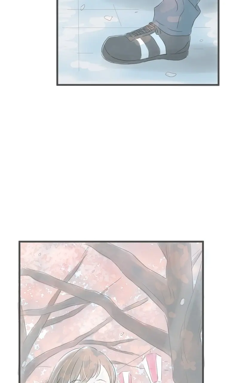 Amid the Changing Seasons - Chapter 78 - Page 66