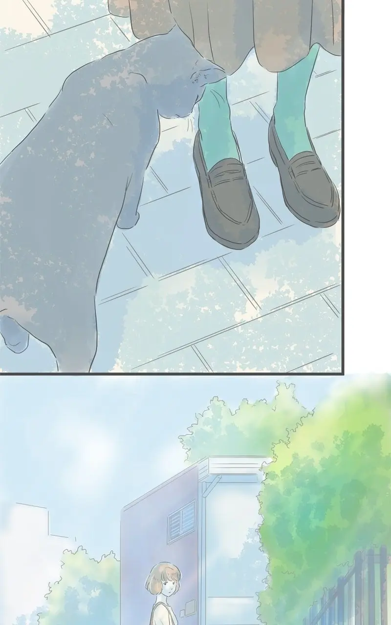 Amid the Changing Seasons - Chapter 82 - Page 12