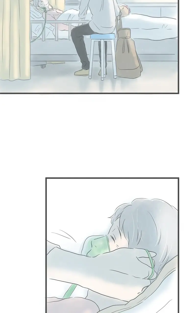 Amid the Changing Seasons - Chapter 84 - Page 31