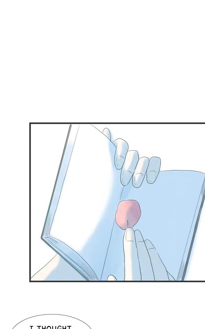 Amid the Changing Seasons - Chapter 99 - Page 19