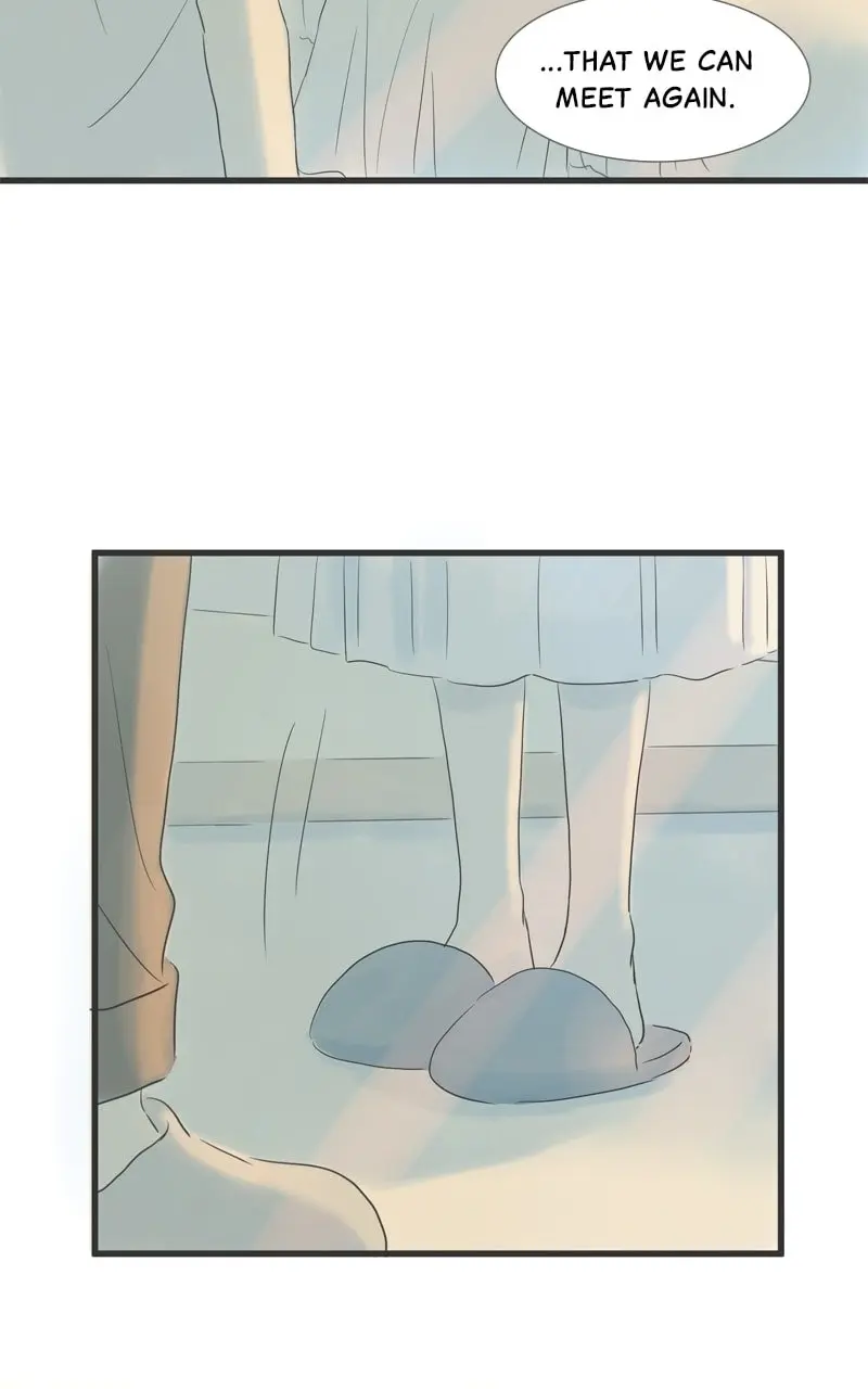 Amid the Changing Seasons - Chapter 103 - Page 49