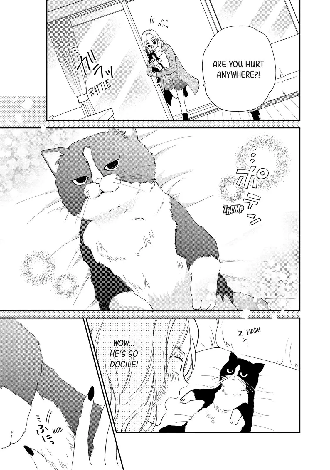 Neko to Kiss - Chapter 1 - Page 12
