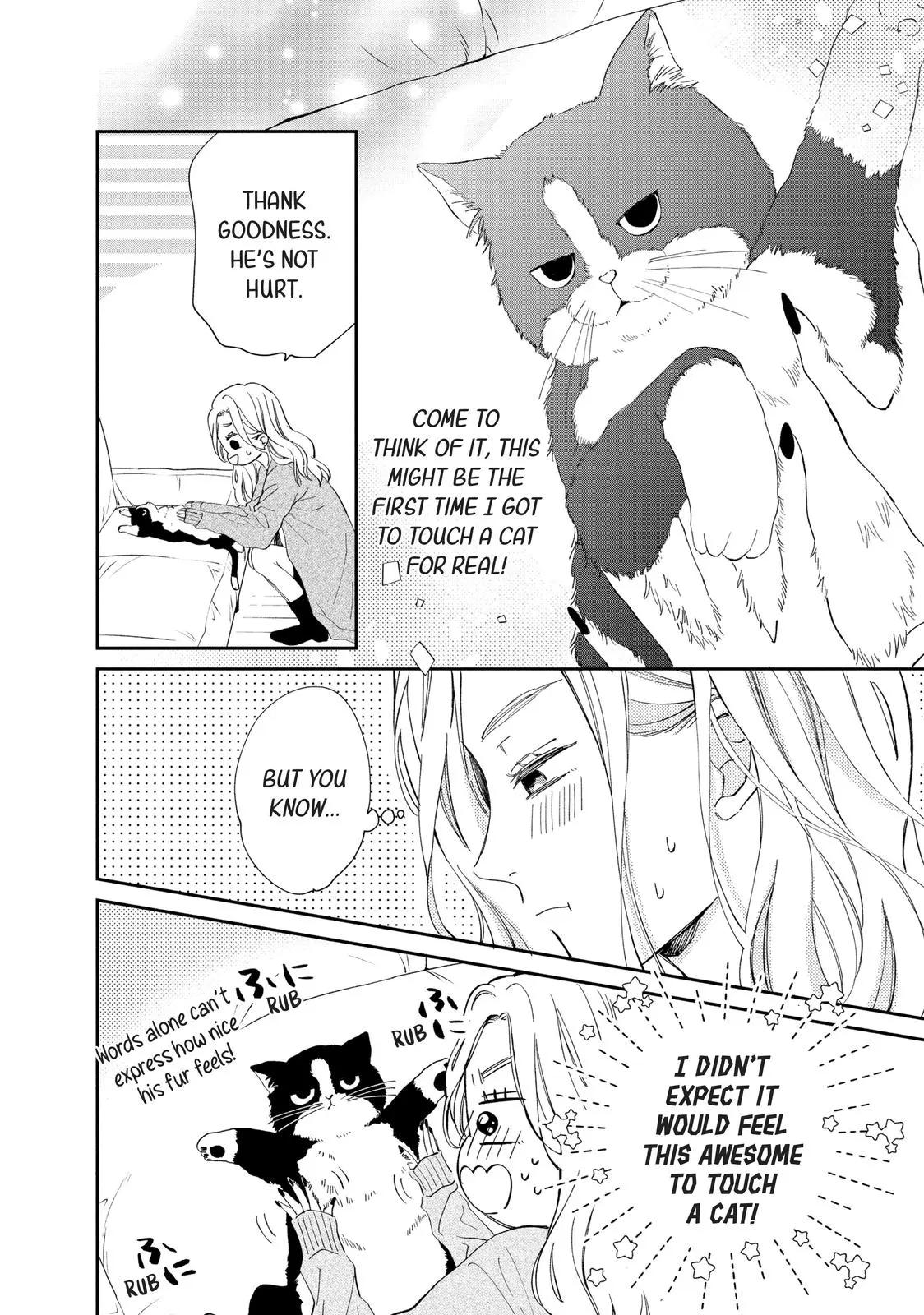 Neko to Kiss - Chapter 1 - Page 13
