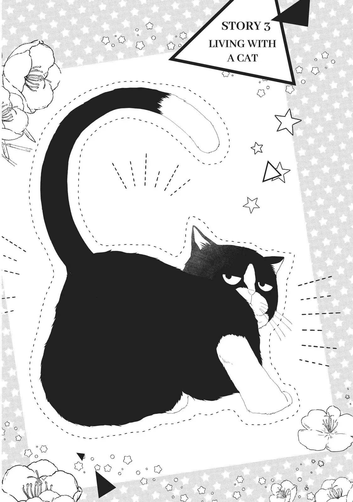 Neko to Kiss - Chapter 3 - Page 1