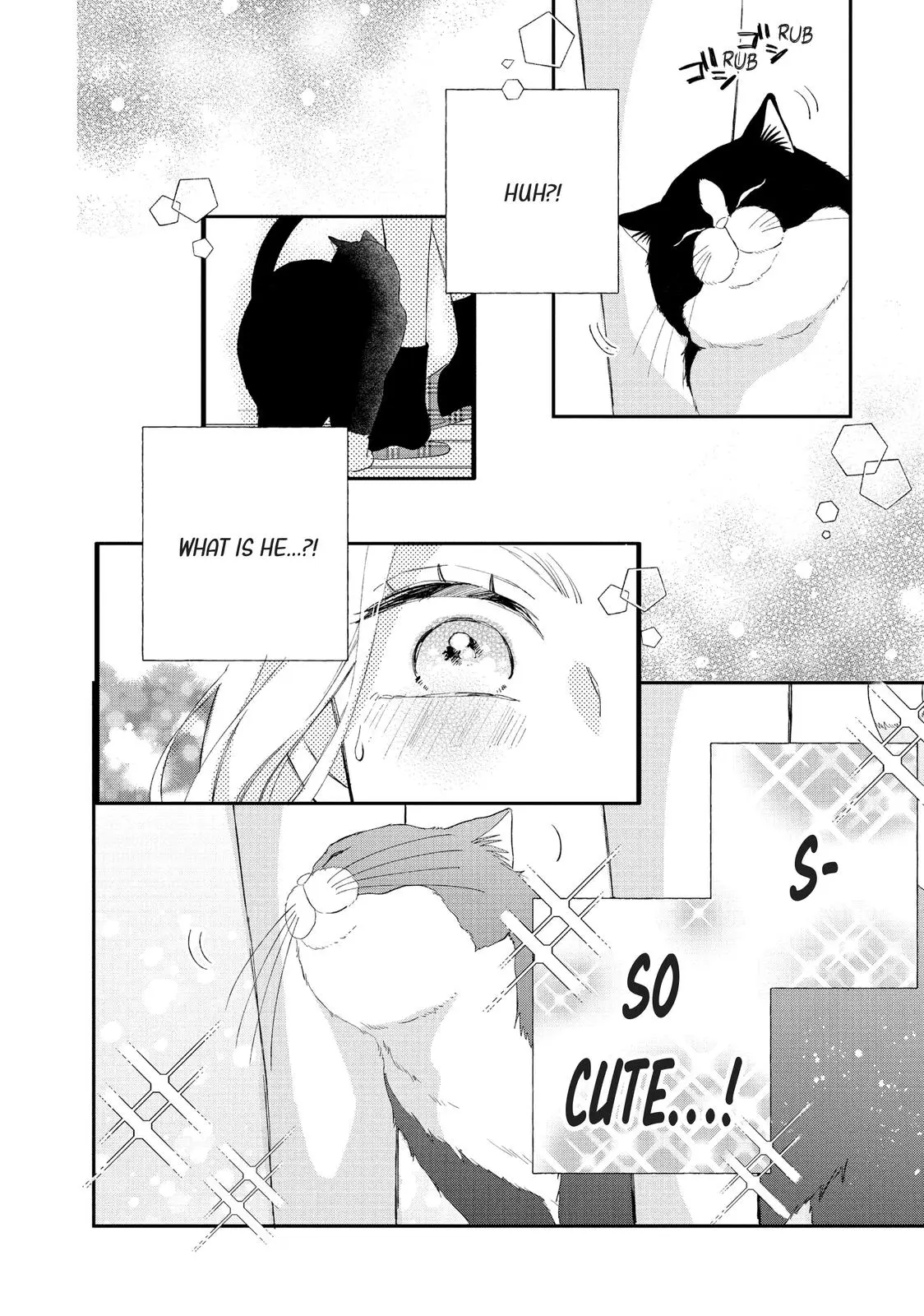 Neko to Kiss - Chapter 6 - Page 28