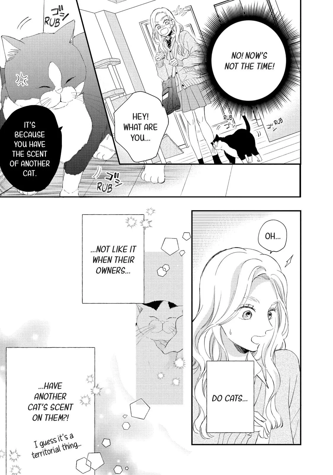 Neko to Kiss - Chapter 6 - Page 29