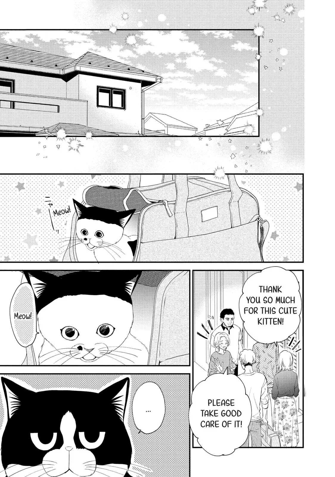 Neko to Kiss - Chapter 8 - Page 31