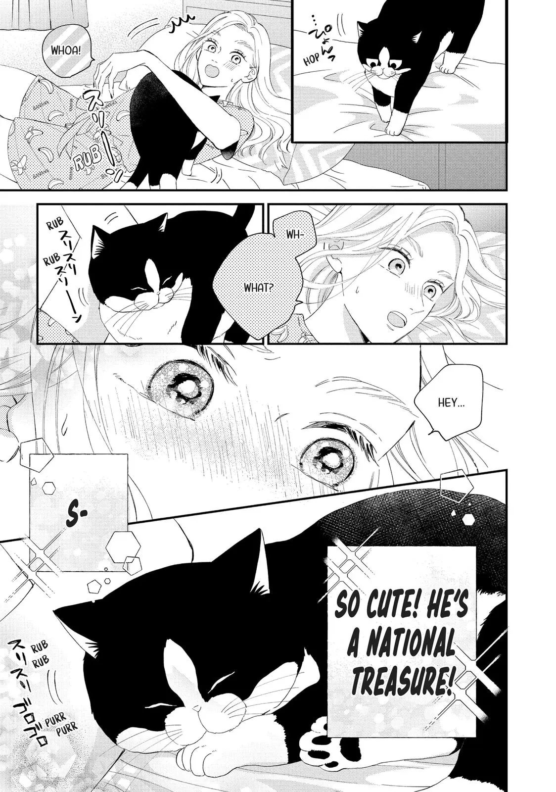 Neko to Kiss - Chapter 15 - Page 3
