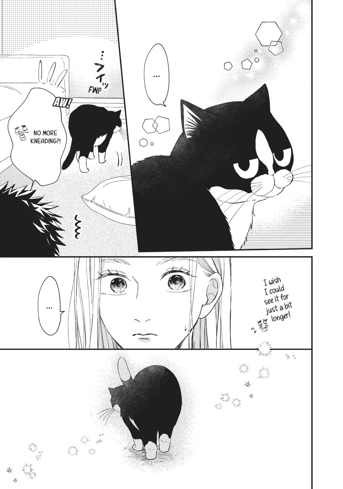 Neko to Kiss - Chapter 18 - Page 31