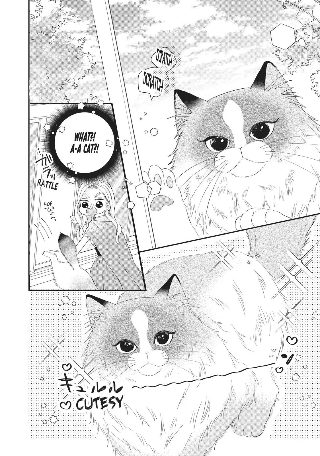 Neko to Kiss - Chapter 20 - Page 24