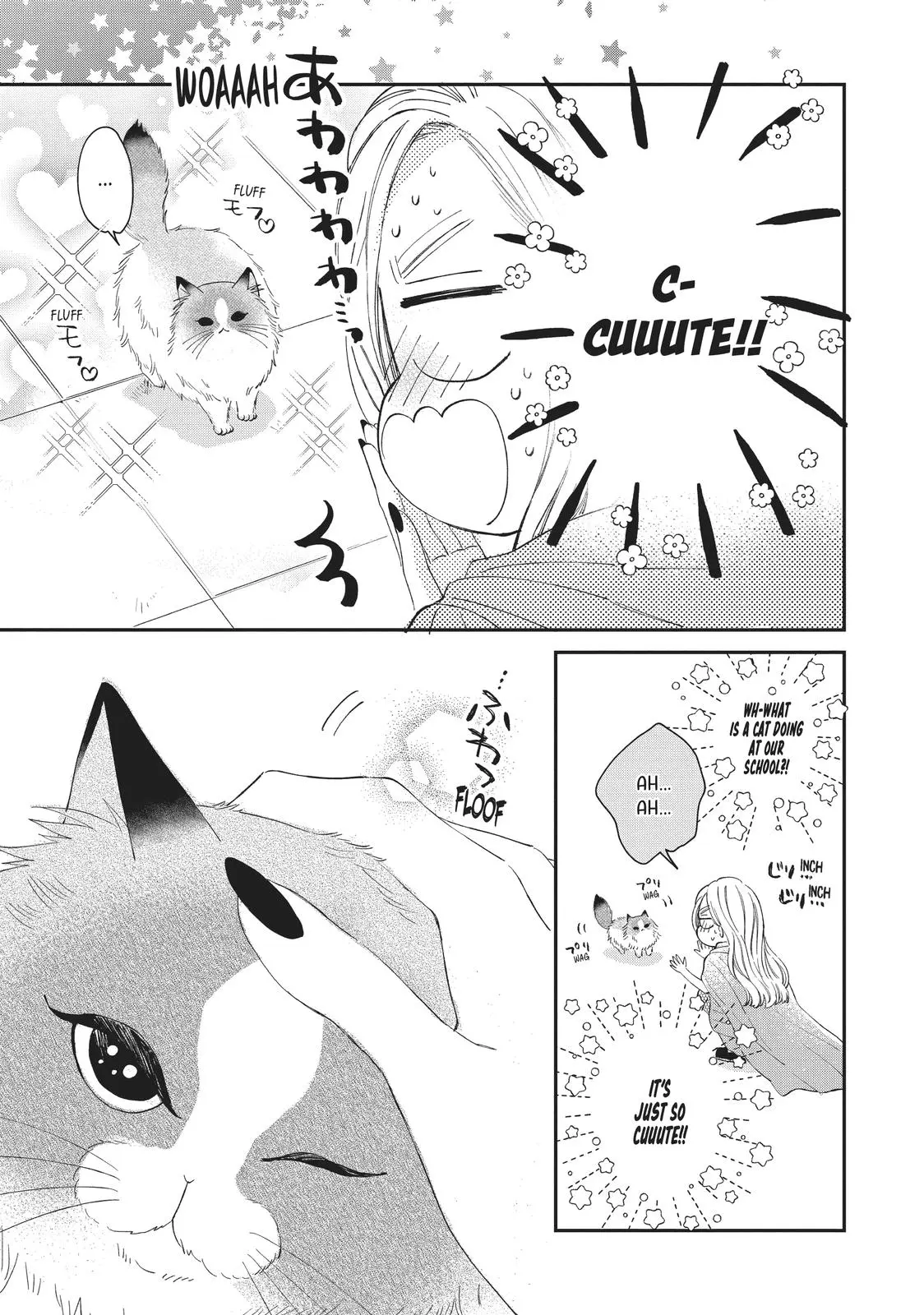 Neko to Kiss - Chapter 20 - Page 25