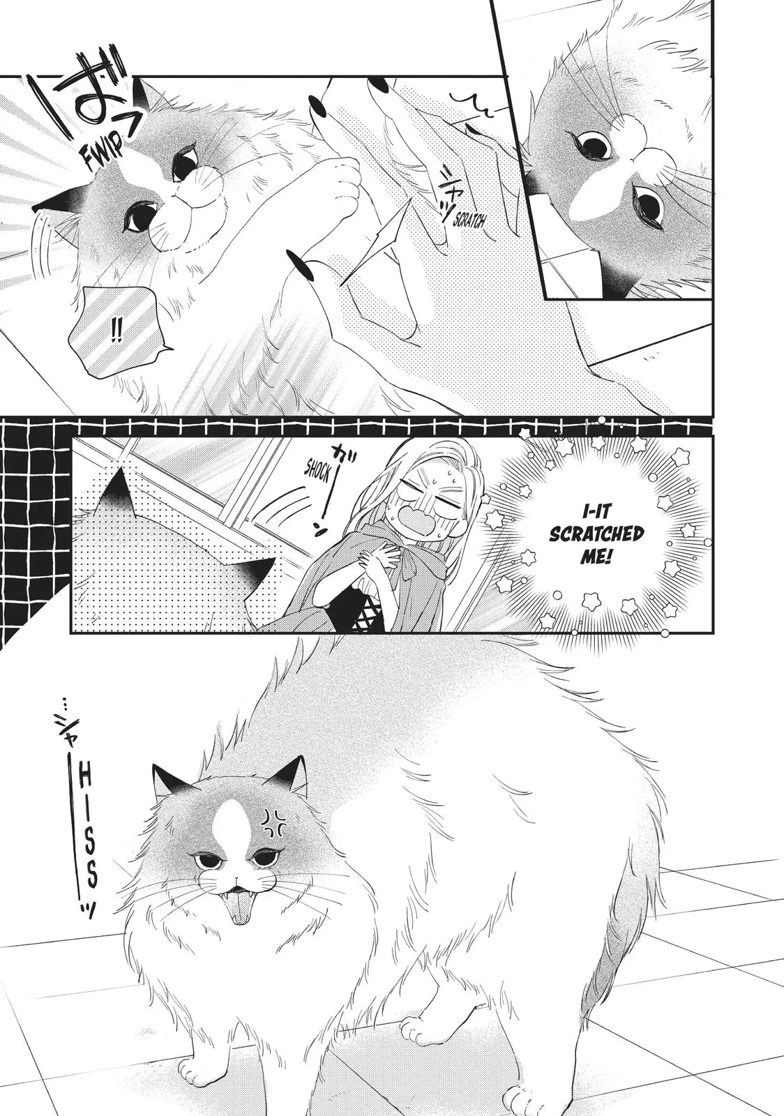 Neko to Kiss - Chapter 20 - Page 27