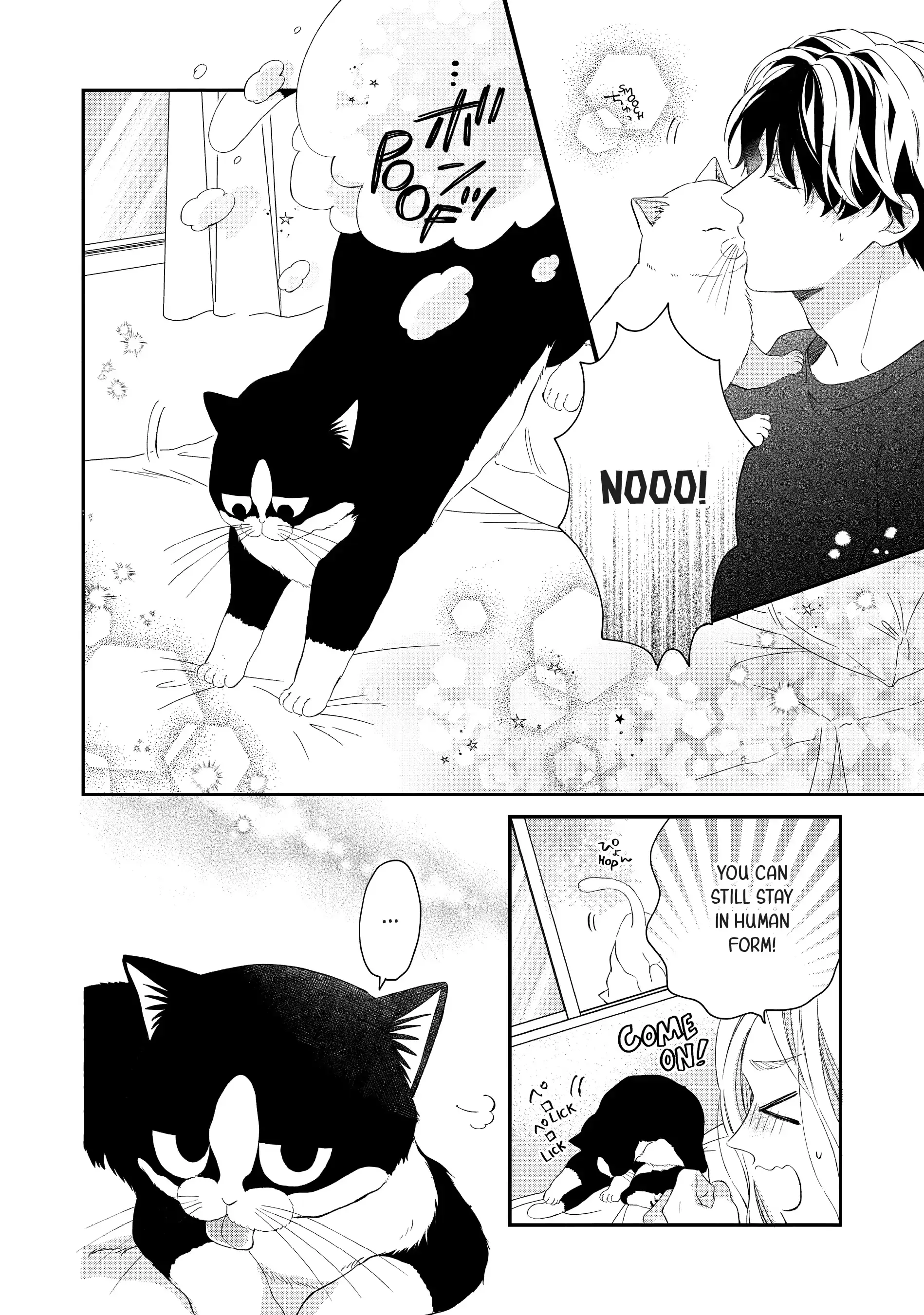 Neko to Kiss - Chapter 24 END - Page 34