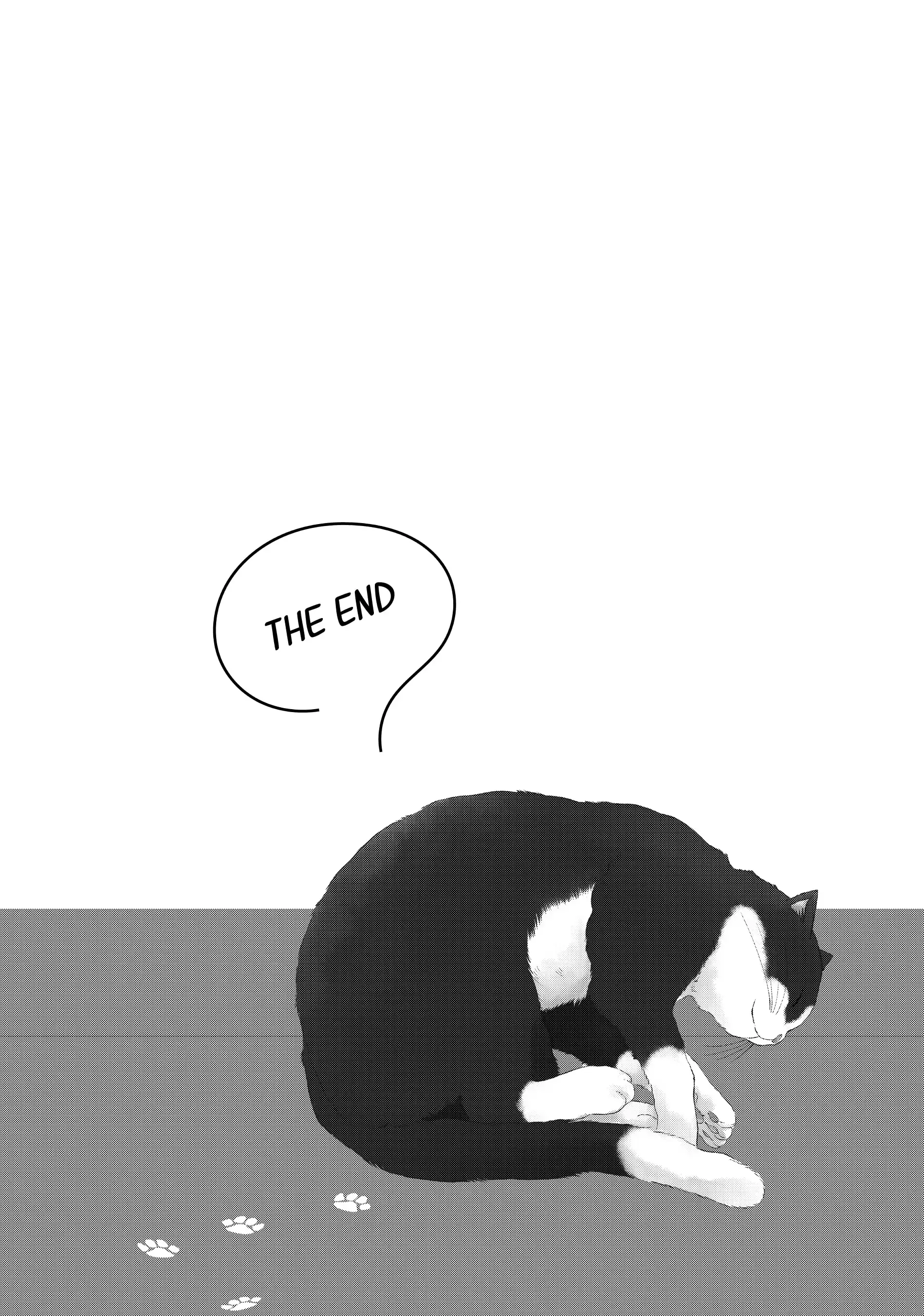 Neko to Kiss - Chapter 24 END - Page 37