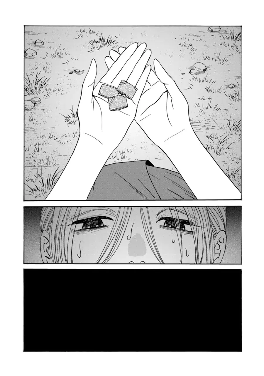 Hotaru no Yomeiri - Chapter 73 - Page 29