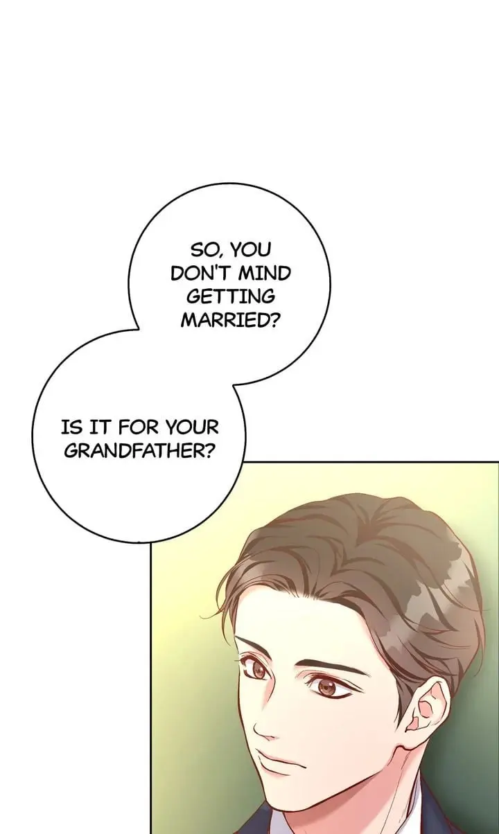 Business Marriage - If You Fall in Love, We'll Get a Divorce - Chapter 2 - Page 51