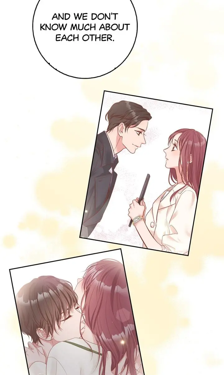 Business Marriage - If You Fall in Love, We'll Get a Divorce - Chapter 9 - Page 49