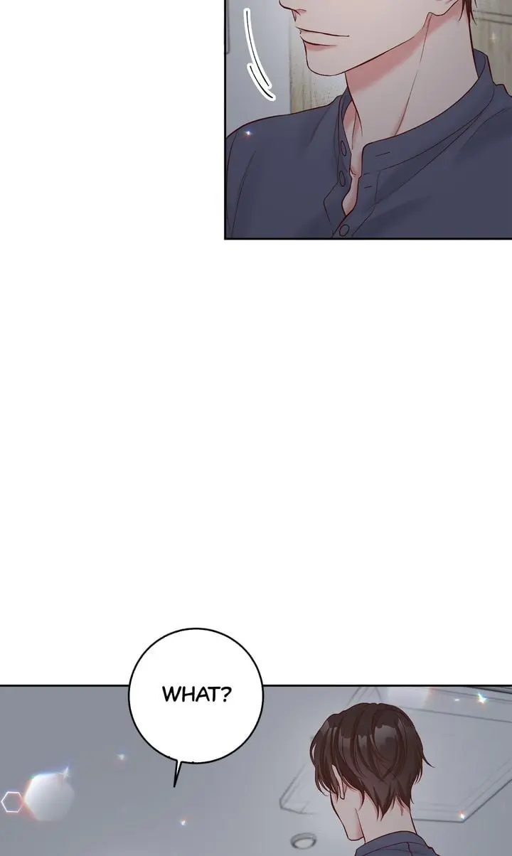 Business Marriage - If You Fall in Love, We'll Get a Divorce - Chapter 13 - Page 29