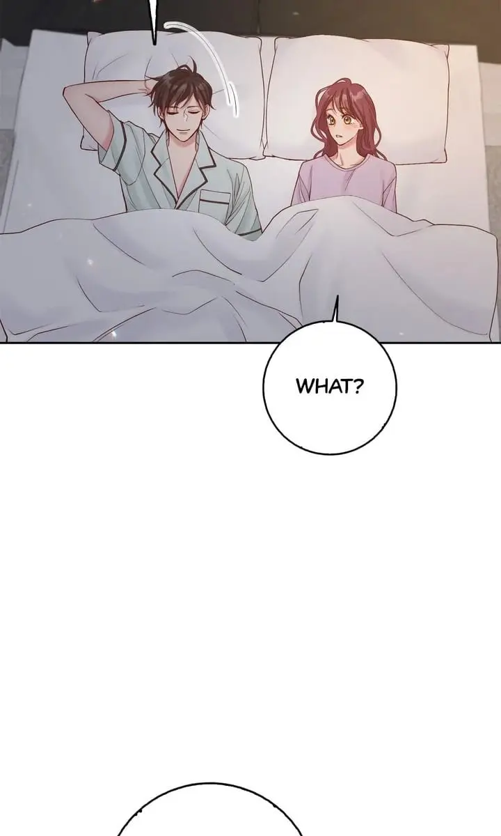 Business Marriage - If You Fall in Love, We'll Get a Divorce - Chapter 14 - Page 73