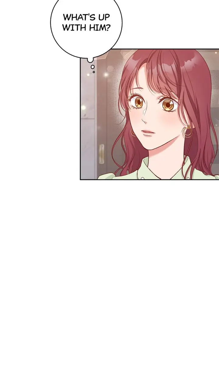 Business Marriage - If You Fall in Love, We'll Get a Divorce - Chapter 19 - Page 49