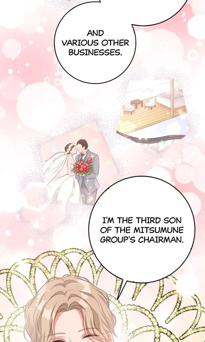 Business Marriage - If You Fall in Love, We'll Get a Divorce - Chapter 19 - Page 67