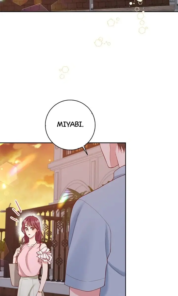 Business Marriage - If You Fall in Love, We'll Get a Divorce - Chapter 22 - Page 4