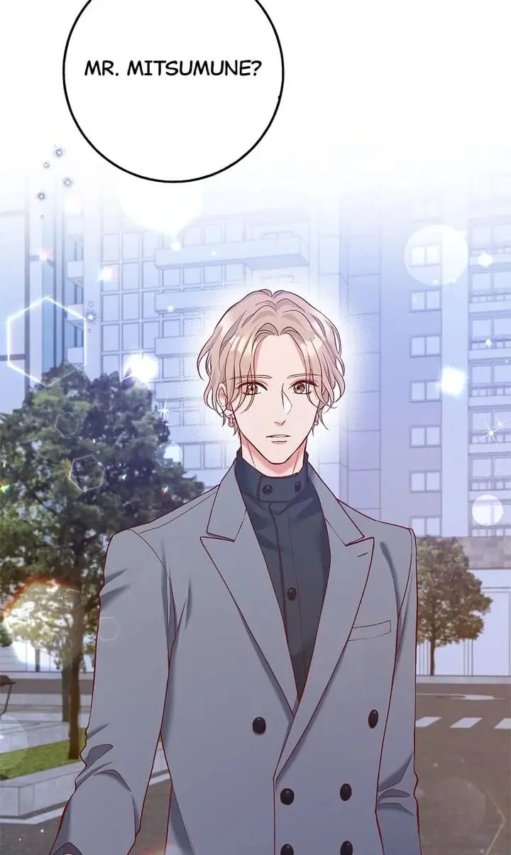 Business Marriage - If You Fall in Love, We'll Get a Divorce - Chapter 29 - Page 73