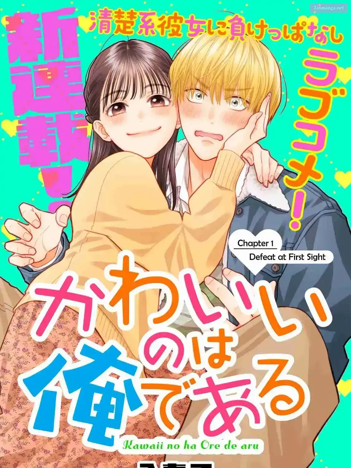 Kawaii No Wa Ore De Aru - Chapter 1 - Page 15