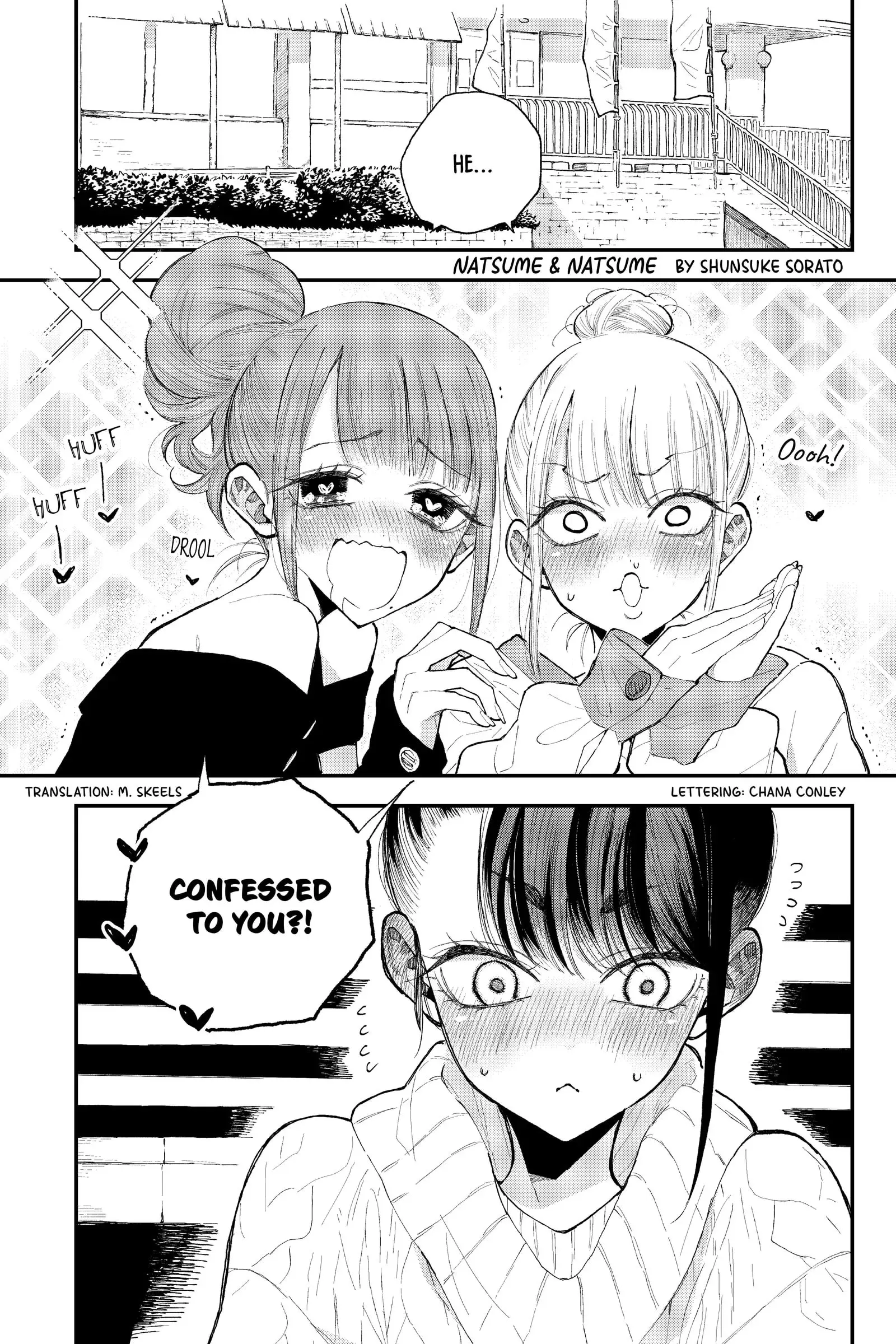 Natsume to Natsume - Chapter 35.1 - Page 5