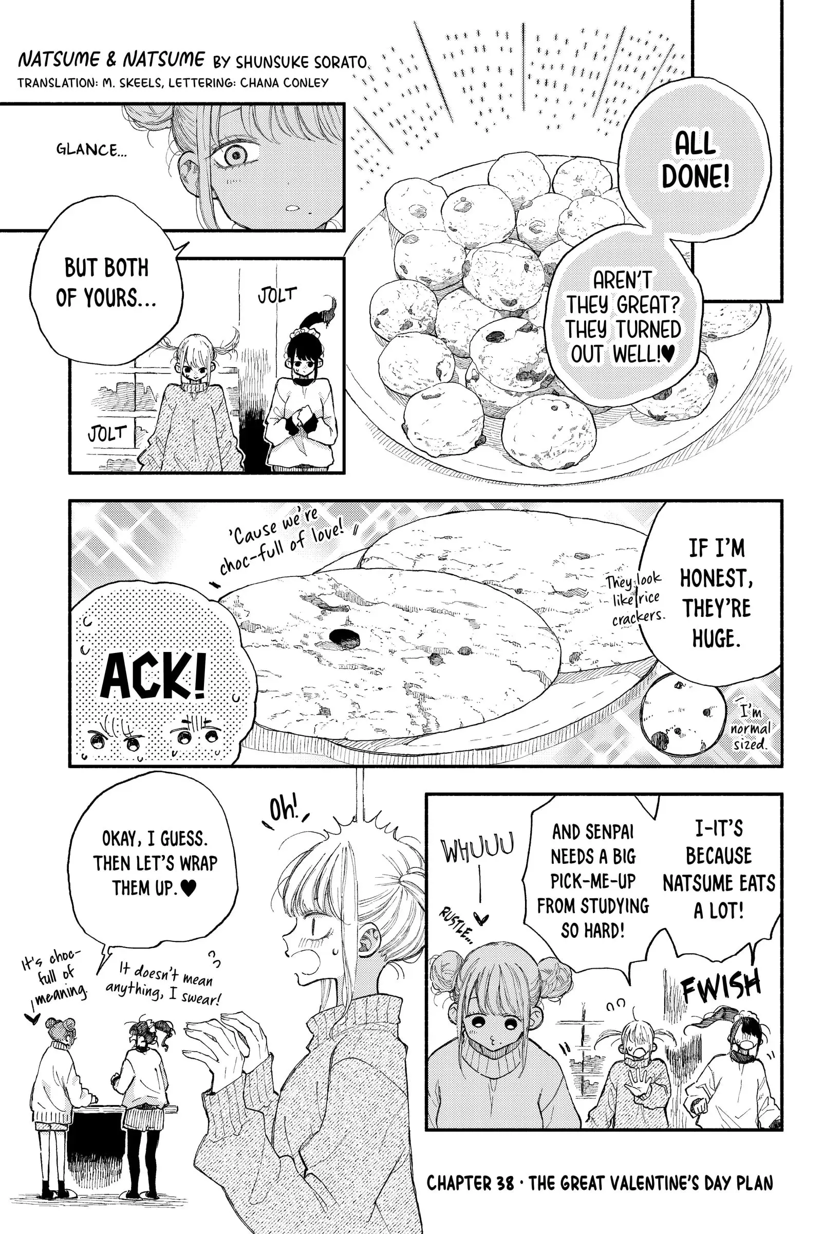 Natsume to Natsume - Chapter 38.2 - Page 1