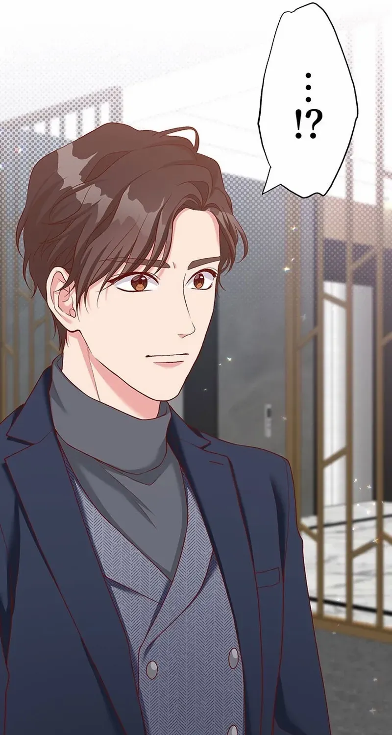 Business Marriage - If You Fall in Love, We'll Get a Divorce - Chapter 60 - Page 19
