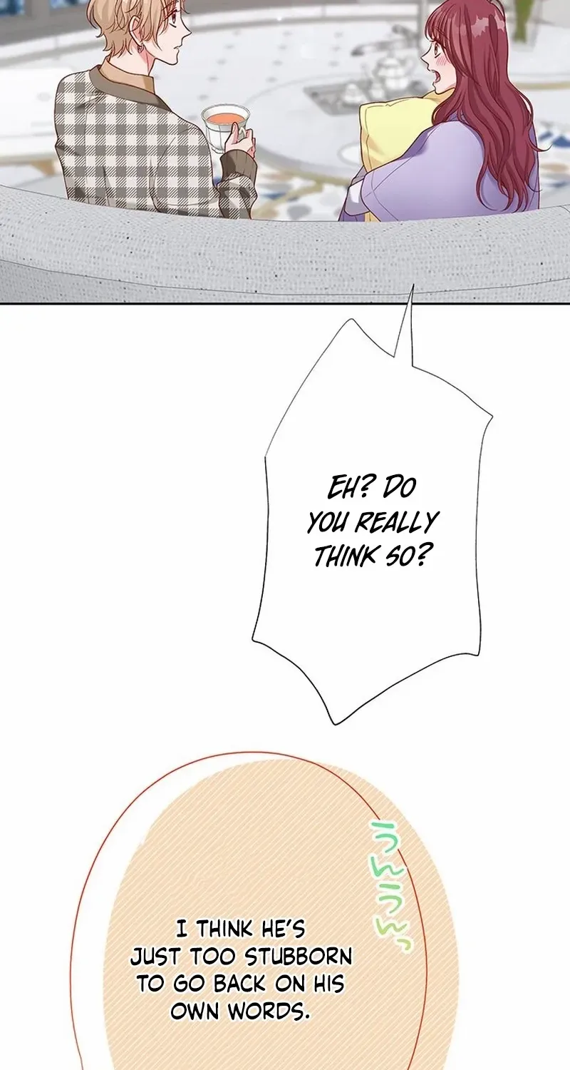 Business Marriage - If You Fall in Love, We'll Get a Divorce - Chapter 60 - Page 36