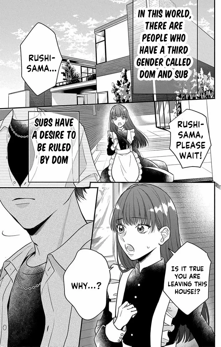 Perfect Domination - Chapter 1 - Page 2
