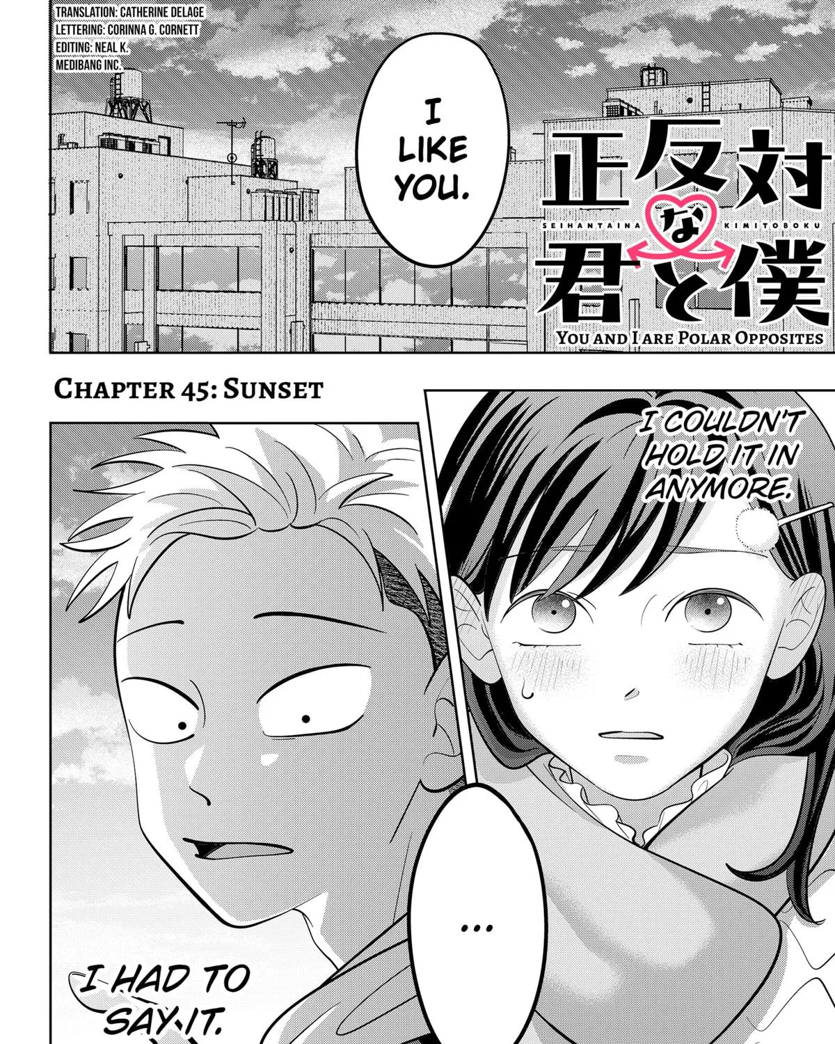 You and I Are Polar Opposites - Chapter 45 - Page 3