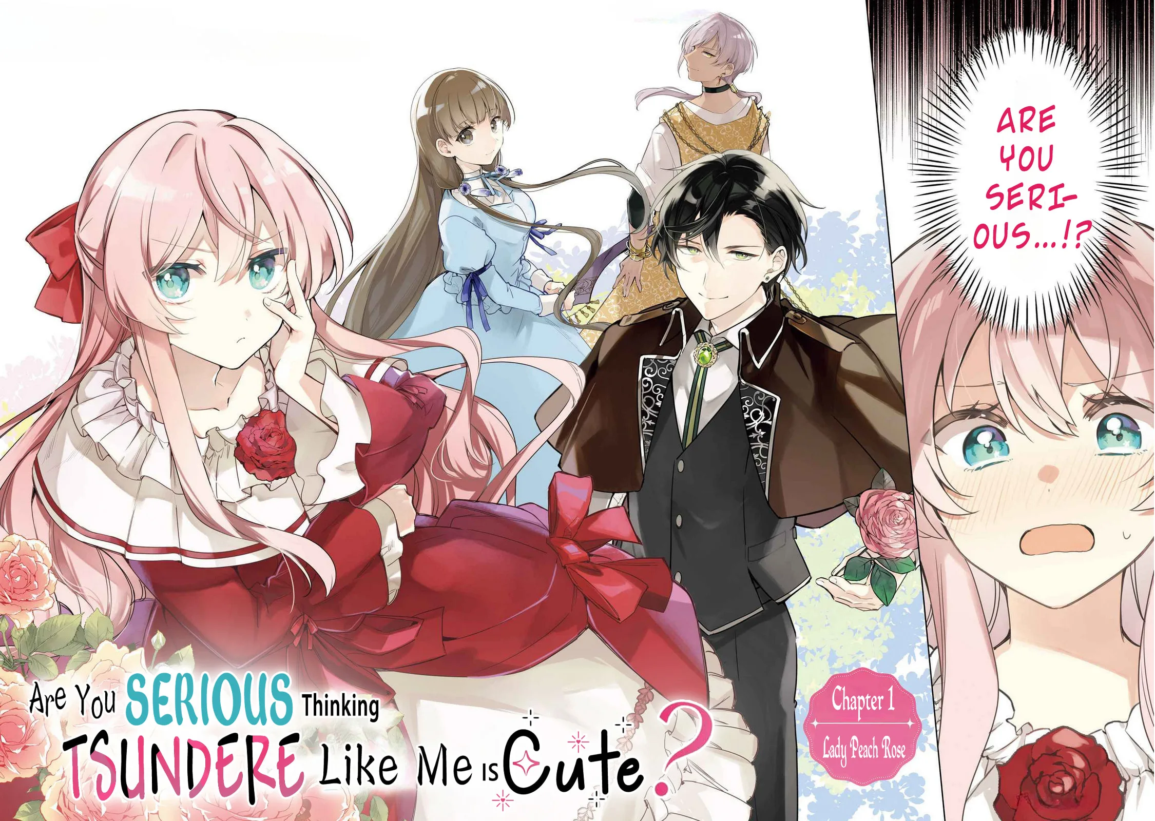 Are You Serious Thinking a Tsundere Like Me is Cute? - Chapter 1 - Page 3
