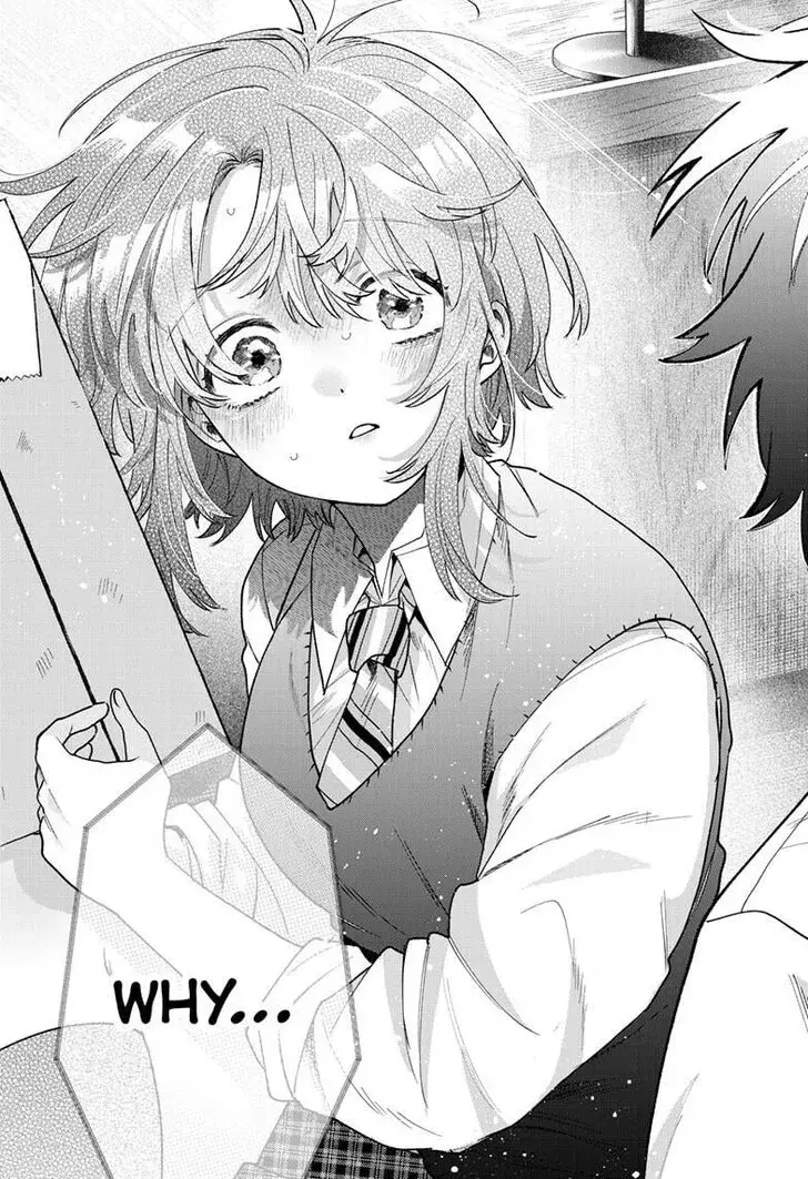 Momose Akira no Hatsukoi Hatan-chuu - Chapter 55 - Page 17